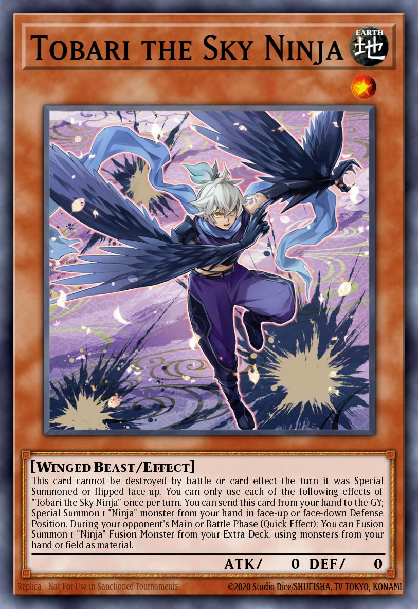 Sky Ninja Tobari